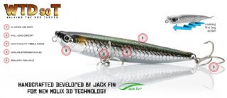 Molix WTD-90T Rattlin Tarpon